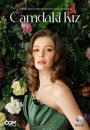Девушка за стеклом (сериал, 1-2 сезоны, все серии)